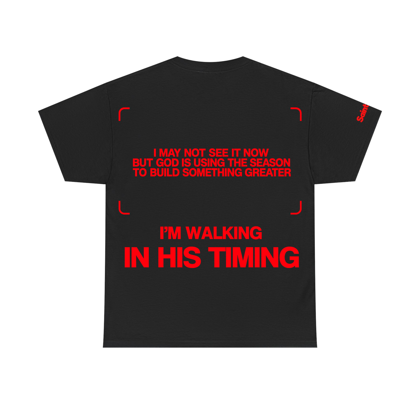 I'm Walking In His Timing