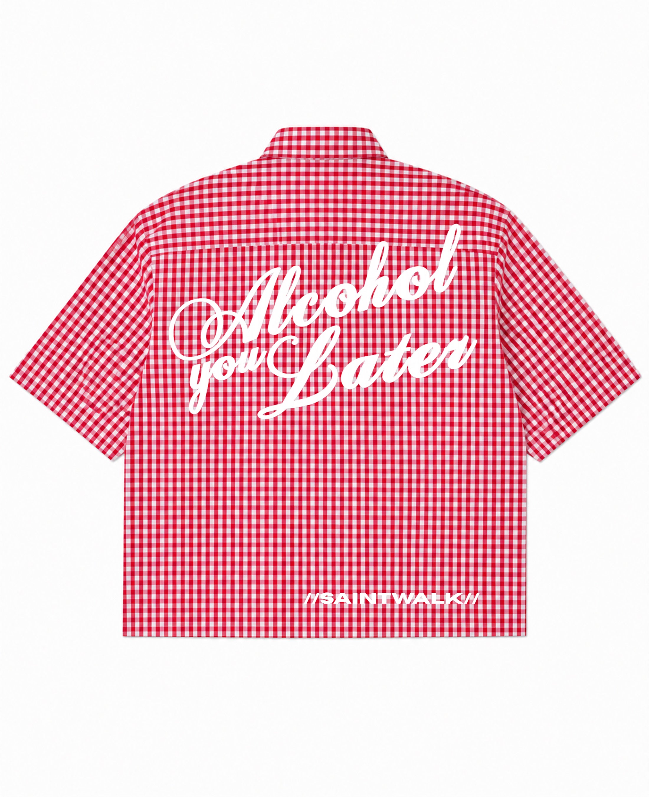 Red Picnic Oxford Boxy Shirt Back Design